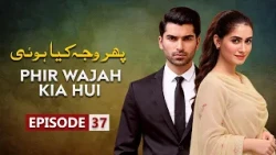 Phir Wajah Kya Hui Episode 37 | Faria Sheikh , Rizwan Ali Jaffri, Alyy Khan | Latest Pakistani Drama